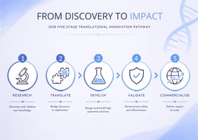 From Scientific Discovery to Market Success: the Innovation Journey