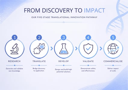 5-Stage Clickable Roadmap Banner 2