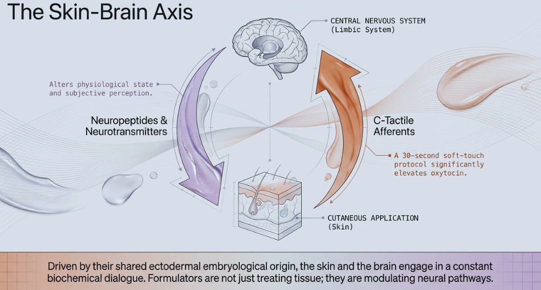 Brain Skin Axis