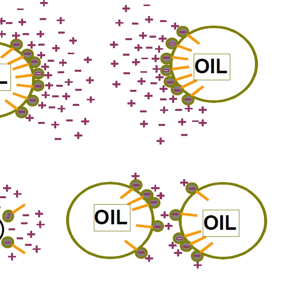 The Future of Skin Health Lies in the Microbiome